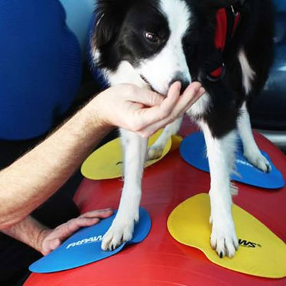 FitPAWS Targets