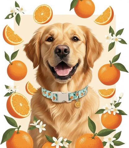 Dog Collar, Spring Summer Dog Collar with Orange Print and Charm, Cute Spring Summer Fruit Collar with Soft & Breathable Fabric, Adjustable Pet Collar for Medium Dogs