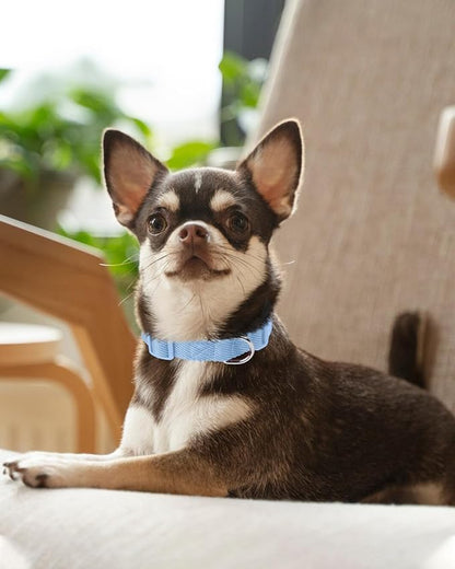 Dynmeow Soft and Breathable Cotton Dog Collar, Durable Adjustable Boy Pet Collar with Quick-Release Buckle, Lightweight for Sensitive Skin for Puppies and Extra-Small Dogs, Light-Blue, Xs