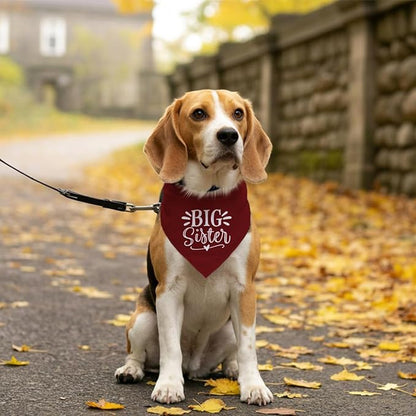 Big Sister Bandana for Dogs, Dog Pregnancy Announcement, Dark Red Dog Bandana, Pet Bandana for Small Medium Large Dogs (M)