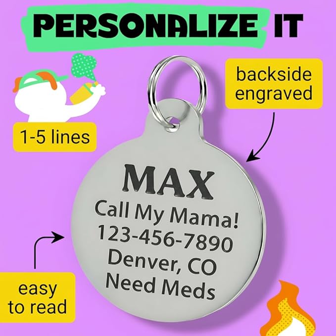 Bad Tags Personalized Dog and Cat ID Tags in 25+ Designs and 2 Sizes - 5 Lines of Custom Engraved Text - Funny Cute Personalized Pet Tags (Turd Thief, Small (1 inch))