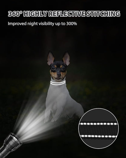 Joytale Small Dog Collar, Reflective and Adjustable Nylon Collar with Quick-Release Buckle, Lightweight No-Choke Design for Puppy and Extra Small Dogs, Black, XS