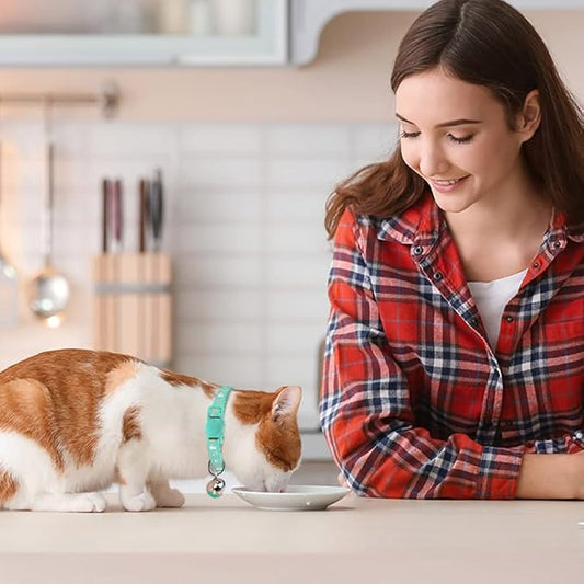 Baeuppit 2PCS Breakaway Cat Collars with Bell Moons Stars Cute Kitty Adjustable Safe Kitten Collars with Pendant Glow in The Dark(Pink&Teal)