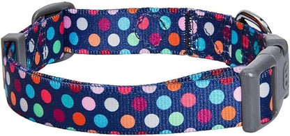 Blueberry Pet Essentials Rainbow Polka Dots Adjustable Dog Collar, Large, Neck 18"-26"