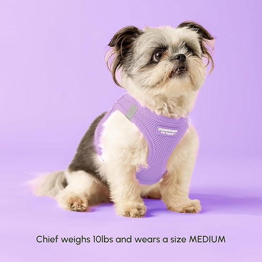 Downtown Pet Supply Step in Dog Harness for Small Dogs - Adjustable, Escape Proof Dog Harness with Reflective Trim - All-Weather, Fast-Drying Padded Mesh Fabric - Lilac, S
