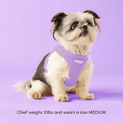 Downtown Pet Supply Step in Dog Harness for Small Dogs - Adjustable, Escape Proof Dog Harness with Reflective Trim - All-Weather, Fast-Drying Padded Mesh Fabric - Lilac, XXS