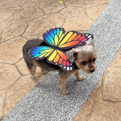 Butterfly Pet Halloween Costume with Wings - Small to Medium-Large Breed Funny Clothes Outfit Apparel (Large) - Image 5