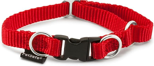 PetSafe KeepSafe Collar for Dogs - Protects Against Collar Accidents - Long Lasting - Durable - Adjustable - Breakaway - Outdoor-Safe - Small - 3/4 In. Wide - Red