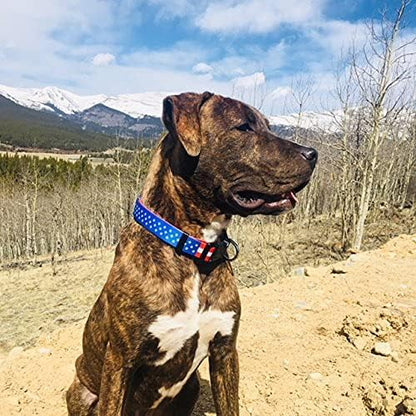 Native Pup American Flag Dog Collar- Red White and Blue- Patriotic Collars for 4th of July, USA- Adjustable Small, Medium, Large Breed Dogs (Large, Flag I)