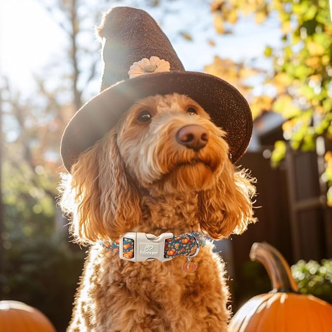 Fall Dog Collar Cute Autumn Pumpkin Puppy Collar - Light Comfortable Adjustable Pet Collars for Small Medium Large Girl Boy Dogs M