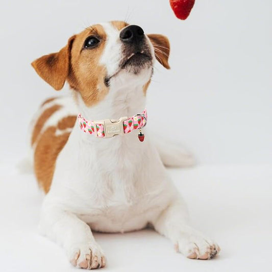 Cute Spring/Summer Dog Collar, Adjustable Pink Strawberry Dog Collars for Small Dogs, Lightweight Quick-Release Buckle Collar for Boy&Girl Dogs S