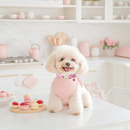 Strawberry Bow Dog Collar for Small Dogs - Cute Pink Spring/Summer Girl Dog Collars, Lightweight Adjustable Female Girly Dogs Collars with Quick Release Buckle S