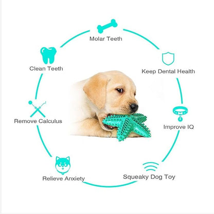 Chew Toy for Dog Toothbrush Stick Dog Toys for Aggressive Chewers Interactive Toys Treats Tough Toy to Keep Them Busy Chew Toys for Small Dogs (Star Toy - Blue)