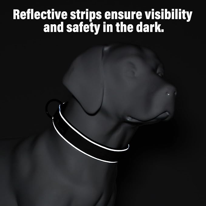 Plutus Pet Tactical Dog Collar, Reflective, Adjustable Heavy Duty Dog Collar, Soft Padded and Comfortable, for Small Medium and Large Dogs (Brown, L)
