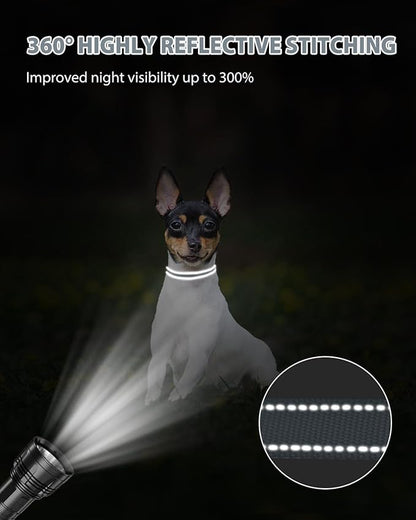 Joytale Small Dog Collar, Reflective and Adjustable Nylon Collar with Quick-Release Buckle, Lightweight No-Choke Design for Puppy and Extra Small Dogs, Gray, XS