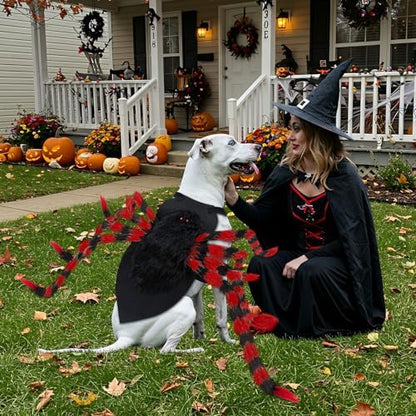 OurWarm XL Dog Halloween Costumes, 64 LED Spider Dog Costume for Large Dogs - Image 5