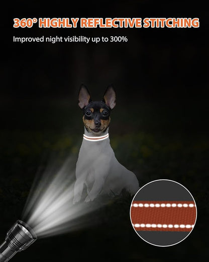 Joytale Small Dog Collar, Reflective and Adjustable Nylon Collar with Quick-Release Buckle, Lightweight No-Choke Design for Puppy and Extra Small Dogs, Orange, XS