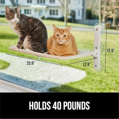 GORILLA GRIP Cat Window Perch, Foldable Cat Window Hammock Bed with 6 Large Suction Cups, Cordless Indoor Wall Shelves, Strong Metal Frame Holds 40lbs, Reversible Washable Sherpa Cover, Large Beige