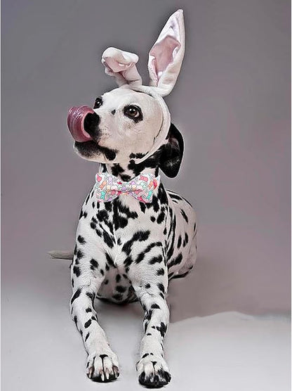 Lionheart Glory X-Small Dog & Rabbit Collar with Bowtie - Easter & Spring Colorful Collar