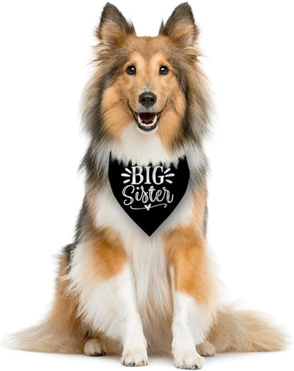 Big Sister Bandana for Dog, Pet Pregnancy Announcement, Black Dog Bandana, Big Sister Dogs Shirt, Pet Bandana for Small Medium Dogs (M)