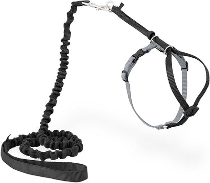 PetSafe Come With Me Kitty Cat Harness & Bungee Leash - Comfortable Cat Harness with Lightweight Bungee Leash for Outdoor Fun - More Secure Walks - Medium - Black