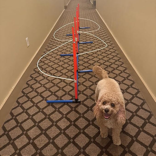 Dog Agility Weave Pole Guides – Training Aids for Fast, Accurate Weaving | Easy Snap-On PVC Guide Wires for Dog Agility Competition & Practice, 66″ Long Guides, Set of 4
