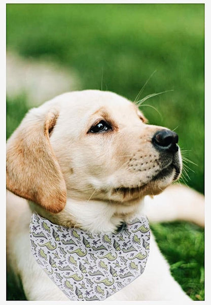 ARING PET Dinosaur Dog Bandanas, Summer Kerchief Triangle Bibs Scarf for Puppy Small Medium Large Boy Girl Dogs Cats-S