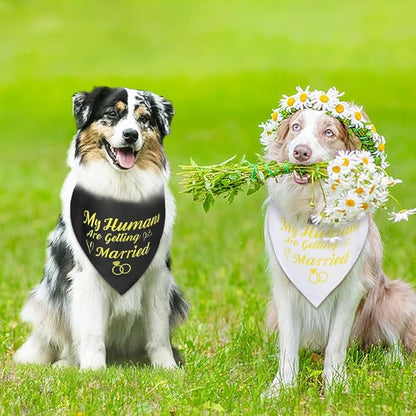 SZEE Wedding Decorations for Pets, 2 Pack My Humans are Getting Married Dog Bandanas, Engagement Party Decorations, Wedding or Engagement Gift for Couples, Dog Wedding Bandanas (Gold, S)