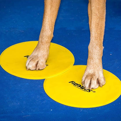 FitPAWS Targets