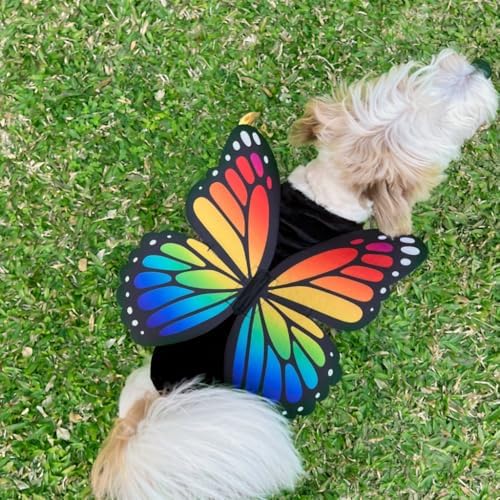 Butterfly Pet Halloween Costume with Wings - Small to Medium-Large Breed Funny Clothes Outfit Apparel (Large) - Image 3