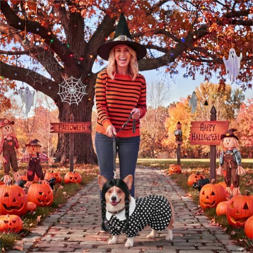Hercicy 2 Pcs Dog Halloween Costumes Gothic Dress with Dog Wig, L - Image 5