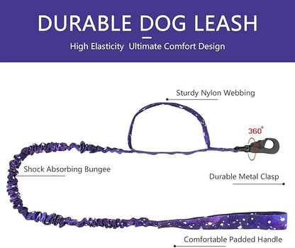 DAGANXI Tactical Dog Collar, Adjustable Military Training Nylon Dog Collar with Control Handle and Heavy Metal Buckle for Medium and Large Dogs, with Patches and Airtags Case (M, Purple Sky-Set)