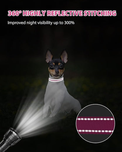 Joytale Small Dog Collar, Reflective and Adjustable Nylon Collar with Quick-Release Buckle, Lightweight No-Choke Design for Puppy and Extra Small Dogs, Hotpink, XS