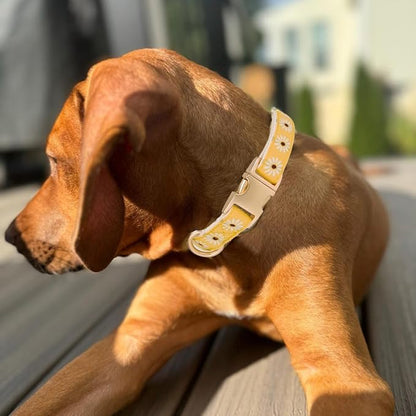 Woven Dog Collar with Metal Buckle Adjustable Jacquard Retro Dog Collars for Small Medium Large Dogs(Daisy,S)
