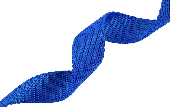AmaGood Dog/Puppy Obedience Recall Training Agility Lead-15 ft 20 ft 30 ft 50 ft Long Leash-for Dog Training,Tie Out,Play,Safety,Camping (30 feet, Blue)