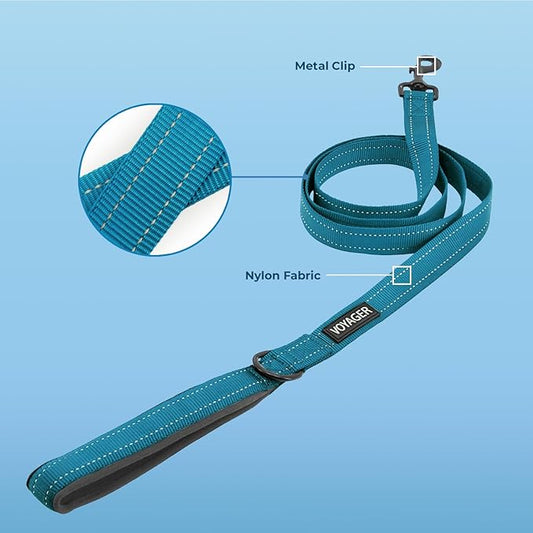 Best Pet Supplies Voyager Reflective Dog Leash or Collar with Neoprene Handle, for Small, Medium, and Large Breed Puppies, Cute and Heavy Duty for Walking, Running and Training - Turquoise Leash, L