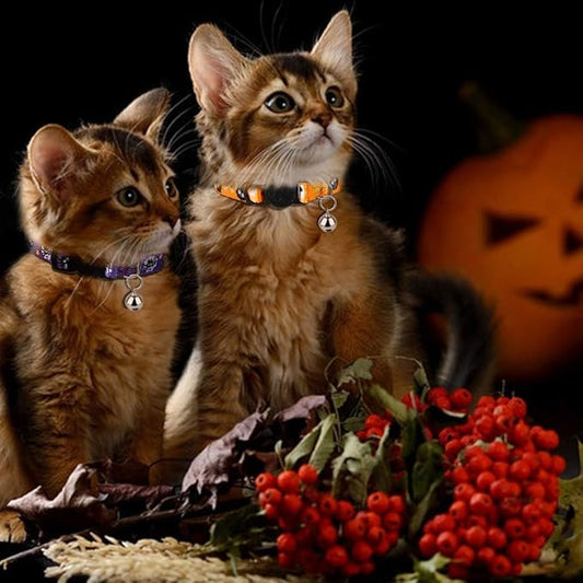 azuza 4 Pack Halloween Kitten Collars Breakaway with Bells, Adjustable Cat Collars with Safety Buckle,Adjustable from 6"-8", Skull and Crossbones,Ghosts, Spider and Pumpkin Prints