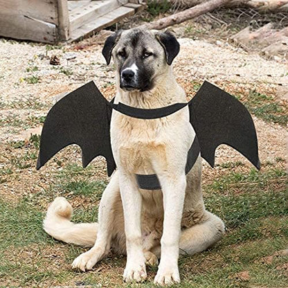 Pet Costumes Bat Wings for Puppy and Cat Halloween Dog Costumes Party Cosplay Decoration Black Apparel for Cat Small Dogs (Black, Large) - Image 3