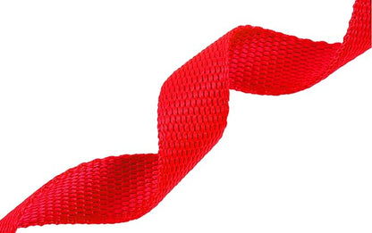 AmaGood Dog/Puppy Obedience Recall Training Agility Lead-15 ft 20 ft 30 ft 50 ft Long Leash-for Dog Training,Recall,Play,Safety,Camping (30feet, Red)