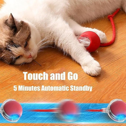 2025 New Electric Dog Ball Toy,360° Smart Automatic Interactive Rolling Ball, Smart Pet Toy,Interactive Dog Toys,Gift for Kids（Blue）
