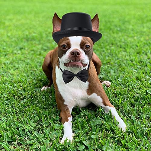 Yewong 2 Pieces Pet Formal Accessories Set - Top Hat with Pet Formal Necktie/Bowtie Birthday Party Gradation Halloween Costumes Accessories for Dog Cat (Black-A) - Image 4