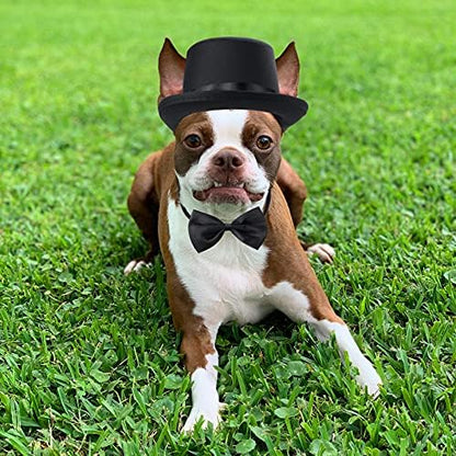 Yewong 2 Pieces Pet Formal Accessories Set - Top Hat with Pet Formal Necktie/Bowtie Birthday Party Gradation Halloween Costumes Accessories for Dog Cat (Black-A) - Image 4