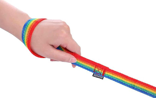AmaGood Dog Training Leash Long Recall Training Agility Leash-15 ft 20 ft 30 ft 50 ft Long Lead Leash for Dog Training,Recall,Play,Safety,Camping (15feet, Rainbow)