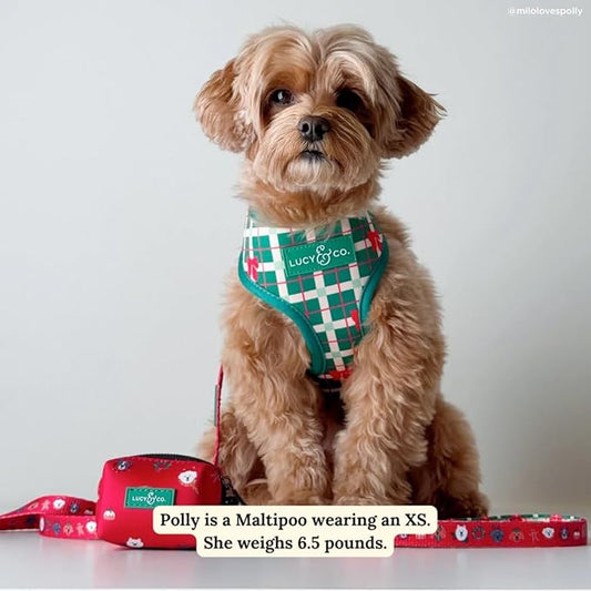 Lucy & Co. Cute Reversible Dog Harness Walking Halter - Best Designer Pet Harnesses for XS - XL Dogs - Padded Adjustable Vest for Easy Walking- Happy Howlidays - Seasonal - Large
