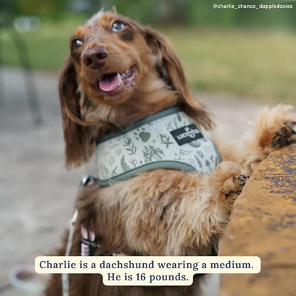 Lucy & Co. Cute Reversible Dog Harness Walking Halter - Best Designer Pet Harnesses for XS - XL Dogs - Padded Adjustable Vest for Easy Walking-Small-Green Outdoor Plaid