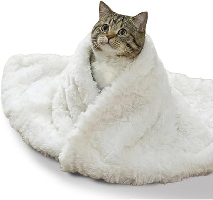 Cat Blanket for Indoor Cats Ultra-Soft Plush Small Blanket Machine Washable Cozy Calming for Kittens Cats Bed Couch Car 21"x18" White
