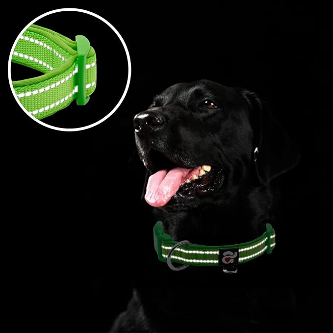azuza Reflective Dog Collar Green Soft Neoprene Padded Pet Collar with ID Tag Ring, Adjustable for Medium Dogs,Green,M