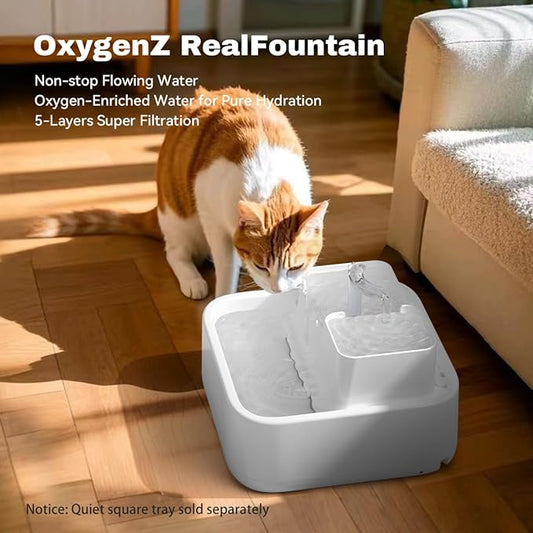Oxygen-Riched Water Fountain for Cats Drinking Healthy, Pet Water Dispenser 3-Tired Standalone Water Bowl Indoor with Dual Pumps Quiet, Filter and Sponge Replaceable BPA-Free 2L/67 oz