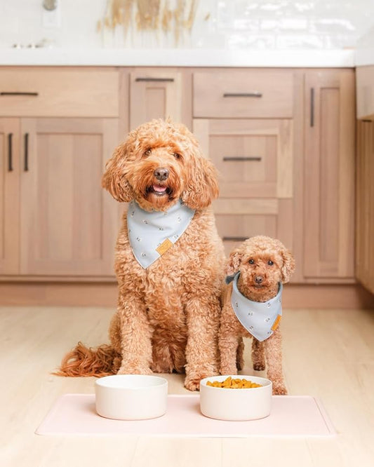 Remy+Roo Peony Silicone Dog Food Mat for Pet Bowl | 100% Waterproof | Non-Slip | Dishwasher Safe