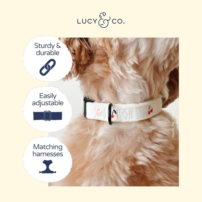 Lucy & Co. Sipping Slowly Dog Collar, Adjustable Durable Dog Collar with Cute Print, Small